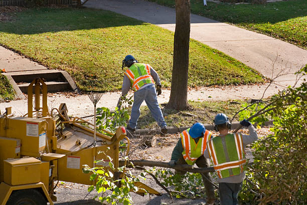 Best Tree Maintenance Programs  in Wetumpka, AL